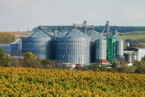 Étude de faisabilité industrielle pour le secteur de l'agro alimentaire